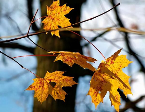 感覺不快樂？那就看看這三句話，會讓你豁然開朗
