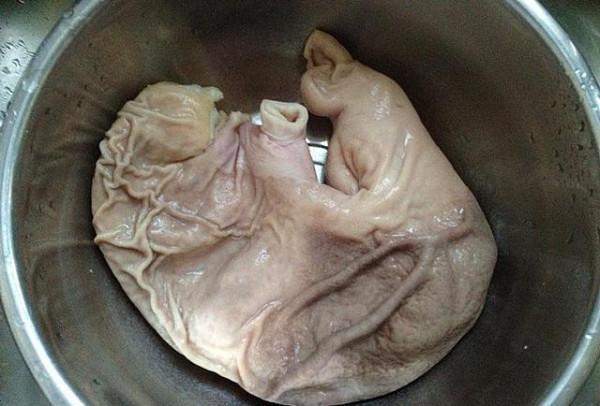 清洗豬肚,切記不要加鹽和麵粉洗!教你一招,乾淨衛生無異味 清洗豬肚,切記不要加鹽和麵粉洗!教你一招,乾淨衛生無異味