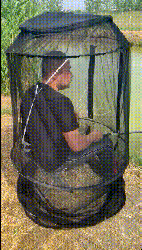 眼力測試！如果你看到的是一群人在游泳，那趕緊去看醫生吧