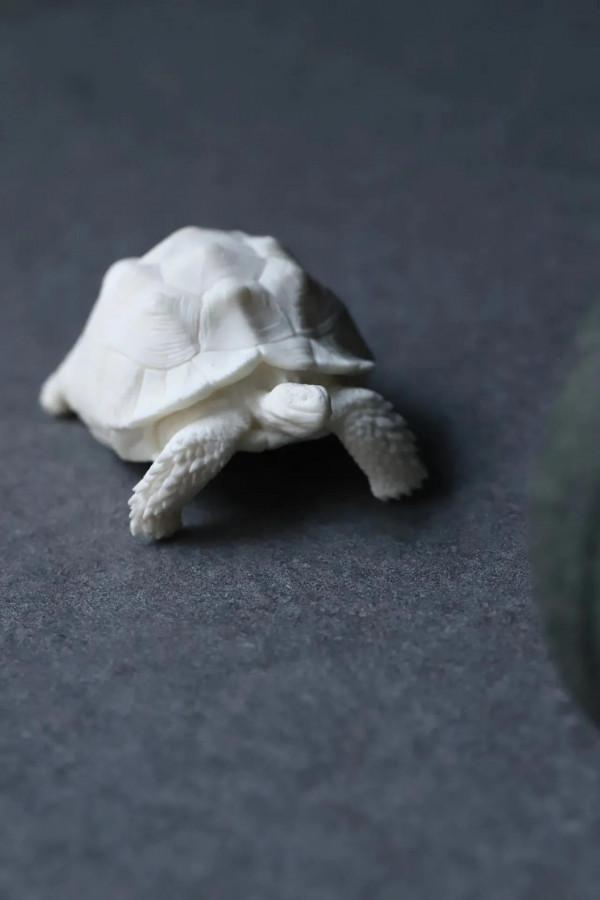 鹿角-「富甲天下」