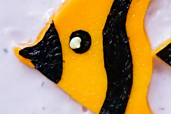 趣味早餐食譜:熱帶魚吐司麵包搭配雞絲蔬菜沙拉 趣味早餐食譜:熱帶魚吐司麵包搭配雞絲蔬菜沙拉