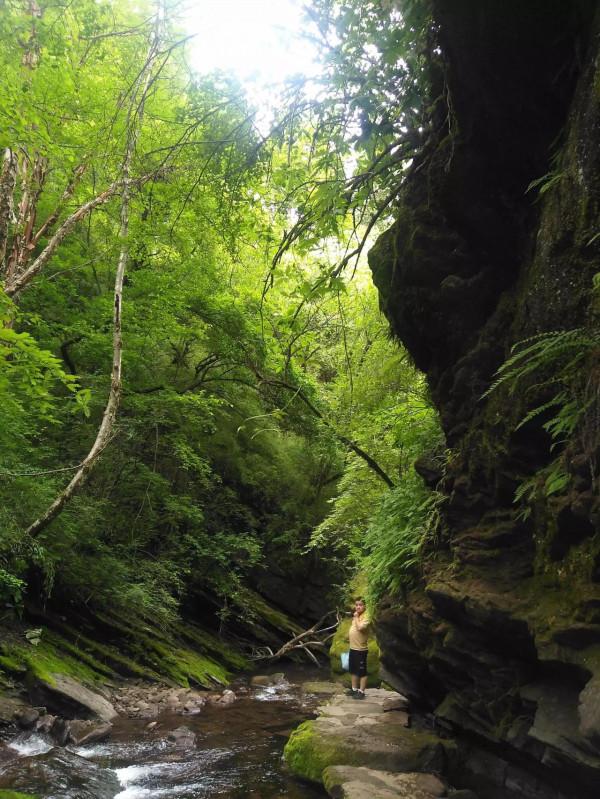 老年人習練太極拳應注意哪些事項 老年人習練太極拳應注意哪些事項