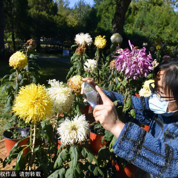 美爆了！這個寶藏公園藏著一大片花海，還有紅葉、銀杏！