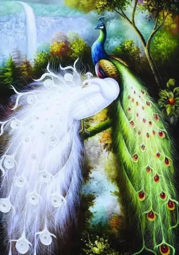 分享圖片——美醉的孔雀東南飛