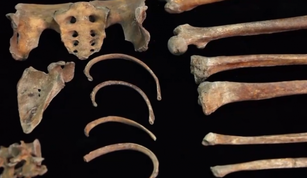 2003年王羲之故居挖出古墓，發現三具幼女屍骨，揭開一段皇家秘史