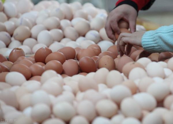 關於雞蛋的幾個“知識點” 關於雞蛋的幾個“知識點”