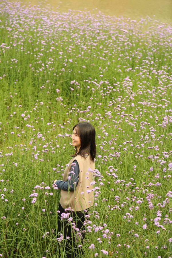 網紅野奢露營,望星而眠——聞鳥而醒,暢玩整個週末 網紅野奢露營,望星而眠——聞鳥而醒,暢玩整個週末