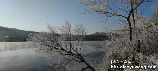 新年，首發冰釣