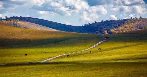 開往“中國最美秋天”6條自駕路線,條條都是NO.1,沿途美成天堂 開往“中國最美秋天”6條自駕路線,條條都是NO.1,沿途美成天堂