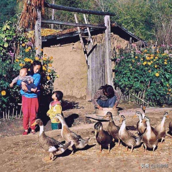 沒在農村生活過，你永遠不知道他們有多苦