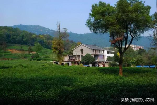 70後文藝大叔，用6年建400㎡院子，每天喝茶做飯，瀟灑生活