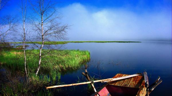 撫遠的鮭魚汛 撫遠的鮭魚汛