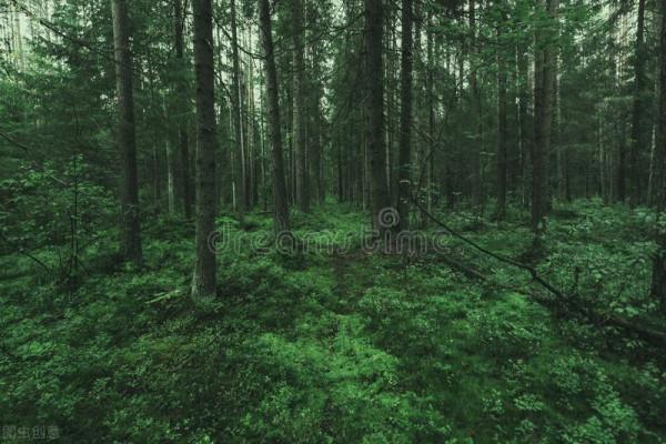 北宋宰相晏殊的《解厄學》，面對困難的八個方法、十六個字真理