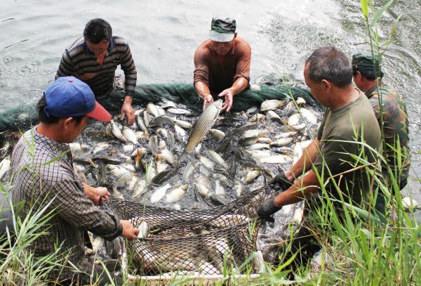 70歲老人自述:我50萬存款,如今連10塊錢的肉都吃不起!太慘了 70歲老人自述:我50萬存款,如今連10塊錢的肉都吃不起!太慘了
