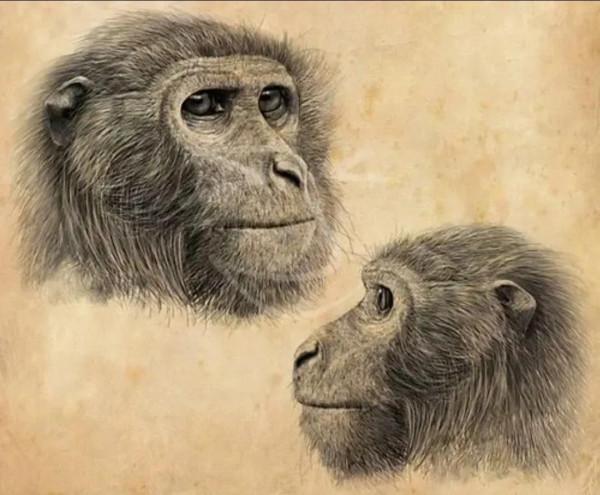 探索世界故事-人類起源前的世界2