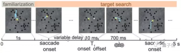 你的眼睛一天內經歷幾萬次“失明”，只是為了讓你看清世界