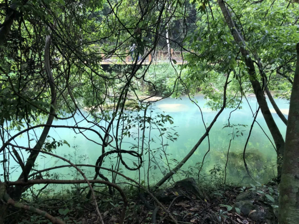 四天四晚貴州旅遊攻略 四天四晚貴州旅遊攻略