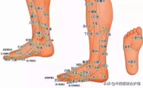 「經絡養生」2個地方經常轉一轉，幫助疏通經絡，身體更舒暢