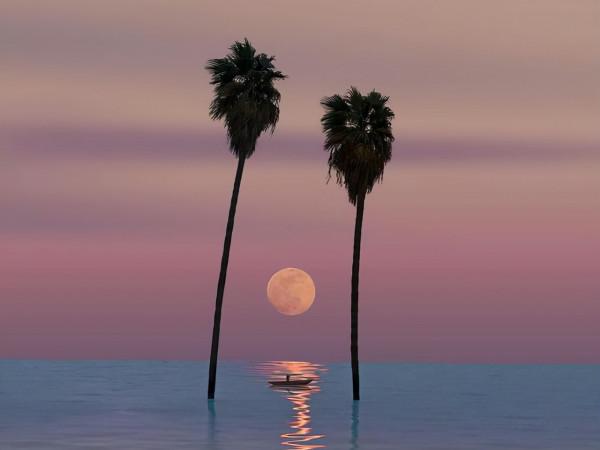 一個人越活越好看的樣子：生活淡然，靈魂豐富