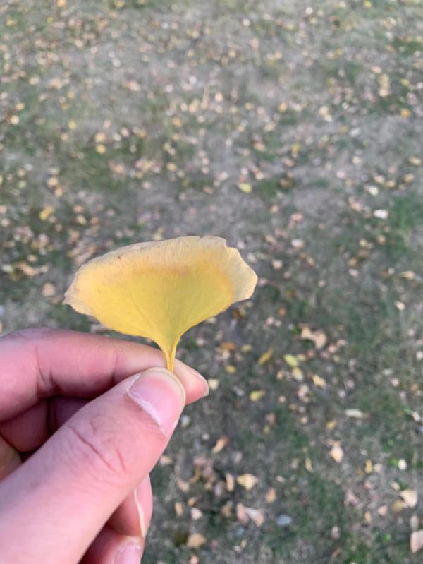 冬天來了，長長膘好過冬