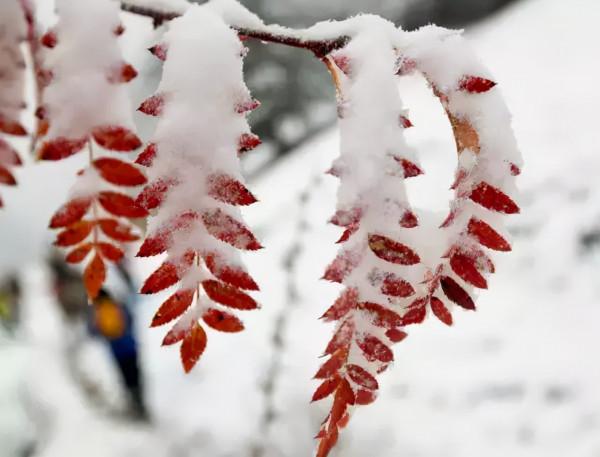國內超治癒的5個旅行地:這麼美的地方,人生中一定要去一次 國內超治癒的5個旅行地:這麼美的地方,人生中一定要去一次