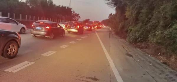 這個國慶誰最火？北京、上海、成都上榜！這個地方“最美人牆”也上線了