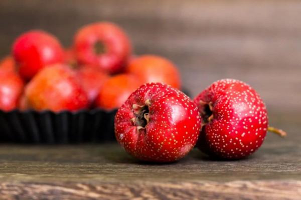 【中醫健康課堂】數九寒天，兩款山楂茶飲，跟心腦血管疾病說“不”！