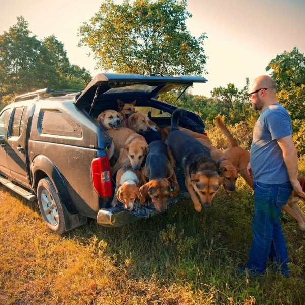 土耳其大叔自從收養了流浪動物後,愛心氾濫一發不可收拾了 土耳其大叔自從收養了流浪動物後,愛心氾濫一發不可收拾了
