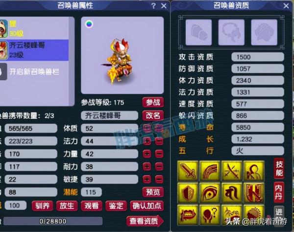 夢幻西遊：張夢蕭回應人情世故，新生肖神獸超級神虎（壬寅）