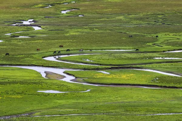 一月最有活力的地方，景色絕美，鮮有人至，值得一去