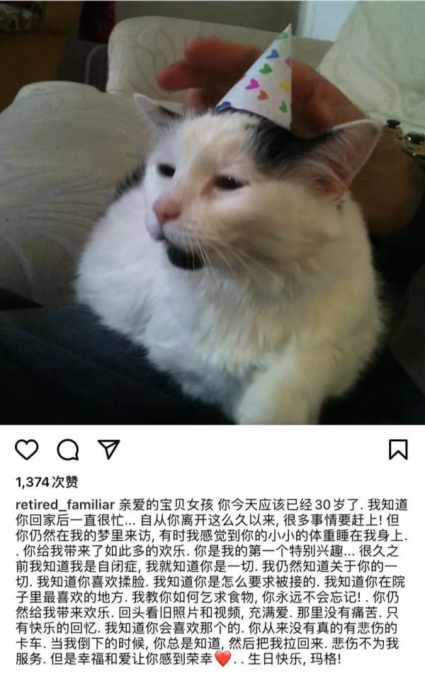 “我見過最長壽的流浪貓，活了29歲。”