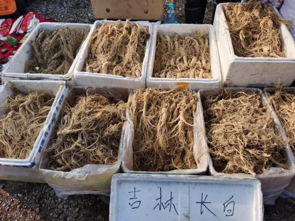 東北大集都有點啥，快跟我一起逛逛