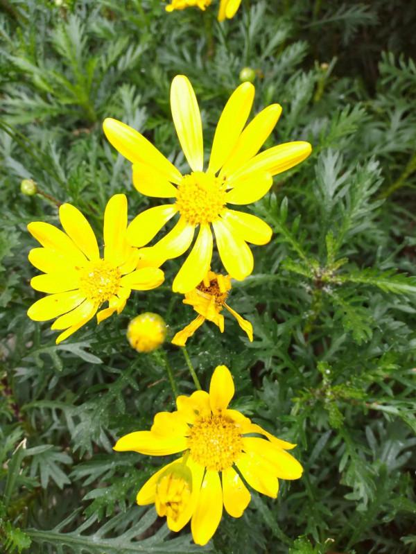 給中老年人的忠告