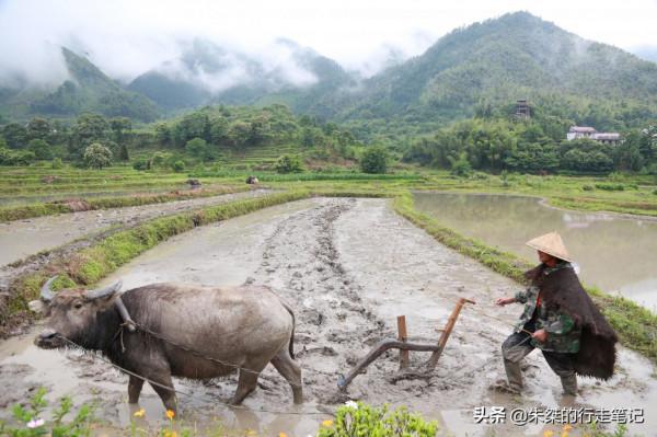 安徽一養生宜居縣，皖南四大高峰有兩座位於其中，入選最美縣域