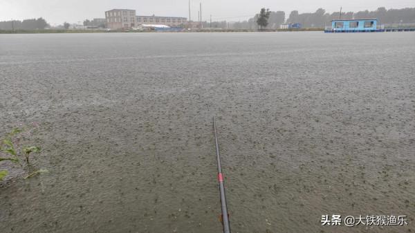 晚秋釣魚、三種釣位不下竿，三種天氣不釣魚，20年釣魚人的忠告