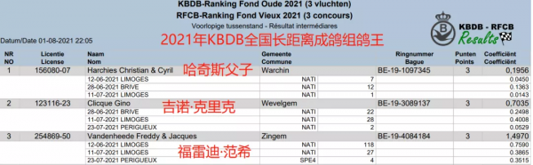 超越“阿曼多”的傳奇來了，新的長距離鴿王誕生