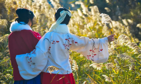 再不去看就晚了！山東6個小眾又絕美的賞蘆勝地，濃縮了整個冬日的浪漫！