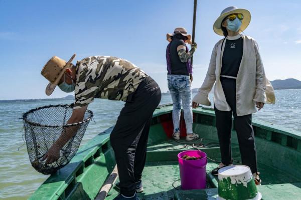 海南：新村港灣可乘船觀光撈海膽