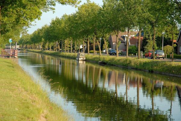 謝建英：抹不去的思念