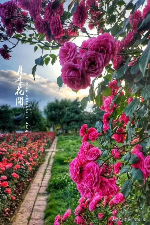 美呆的人間仙境