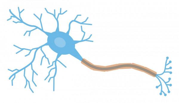 孩子“好動”不一定就是“多動症”，別輕易給孩子“貼標籤”