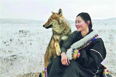 1974年,老人救了狼崽,母狼帶禮物上門謝恩 1974年,老人救了狼崽,母狼帶禮物上門謝恩