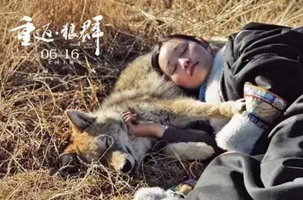 11年前，把狼當兒子帶回家的成都女孩，10年後在草原與它再次相認
