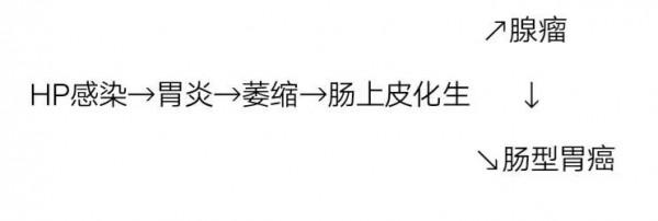 早期胃癌病理診斷：WHO VS.日本標準一文解析