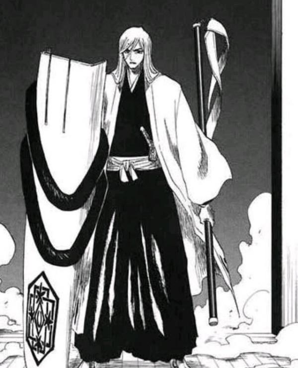 能打幾車拳西？盤點護庭十三隊最強的十三位隊長