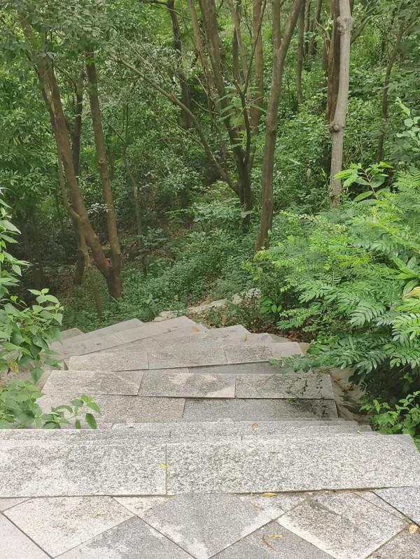 公元某年某月某日某山半日遊