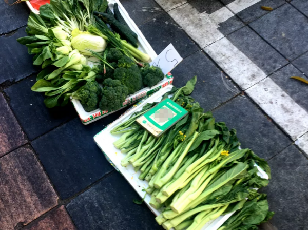 從今天起，上街請帶點現金吧…