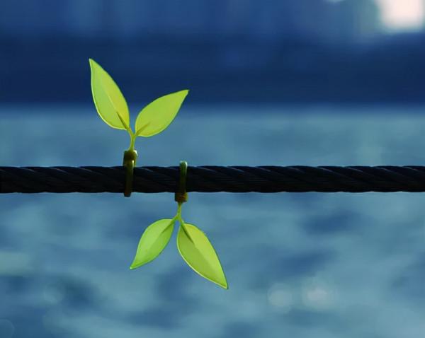 偏是孤眠者 愁心此夜生,十四首不寐的詩詞,寫給失眠者 偏是孤眠者 愁心此夜生,十四首不寐的詩詞,寫給失眠者