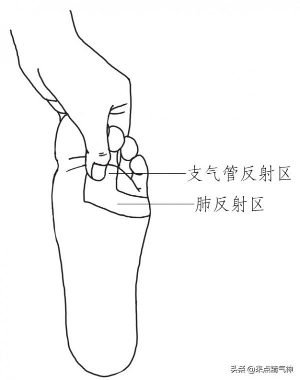 嗓子刺癢，隨時想吐痰，有時乾咳沒痰。支氣管炎：心肺統調效果好