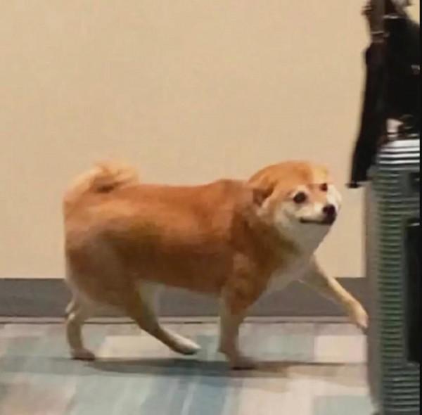 王力宏，你確實有點瘋狂